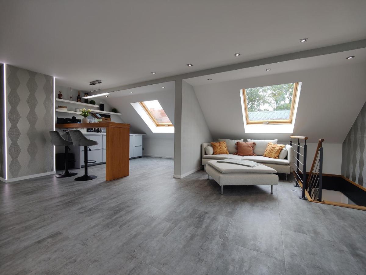 Ferienhaus Villa Adelsberg Mit Dachterrasse In Zentraler Lage Fuer Bis Zu 10 Personen Хемниц Экстерьер фото