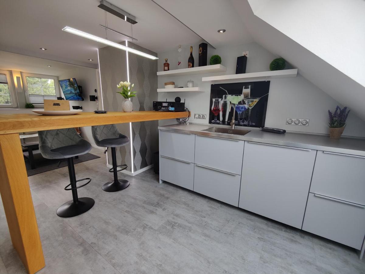 Ferienhaus Villa Adelsberg Mit Dachterrasse In Zentraler Lage Fuer Bis Zu 10 Personen Хемниц Экстерьер фото