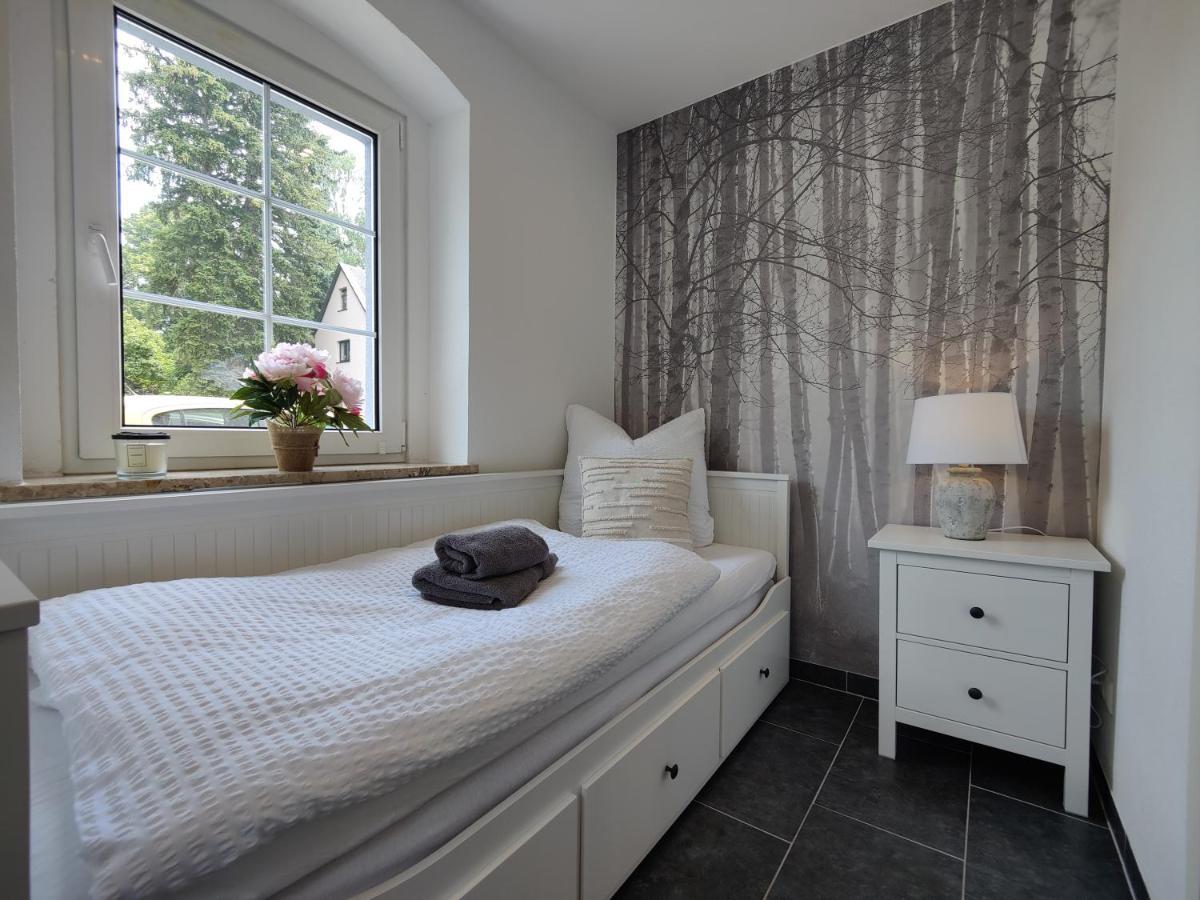 Ferienhaus Villa Adelsberg Mit Dachterrasse In Zentraler Lage Fuer Bis Zu 10 Personen Хемниц Экстерьер фото