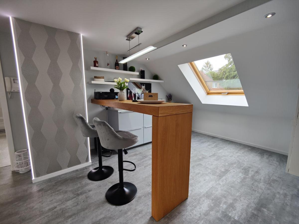 Ferienhaus Villa Adelsberg Mit Dachterrasse In Zentraler Lage Fuer Bis Zu 10 Personen Хемниц Экстерьер фото