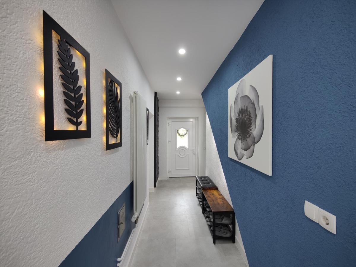 Ferienhaus Villa Adelsberg Mit Dachterrasse In Zentraler Lage Fuer Bis Zu 10 Personen Хемниц Экстерьер фото